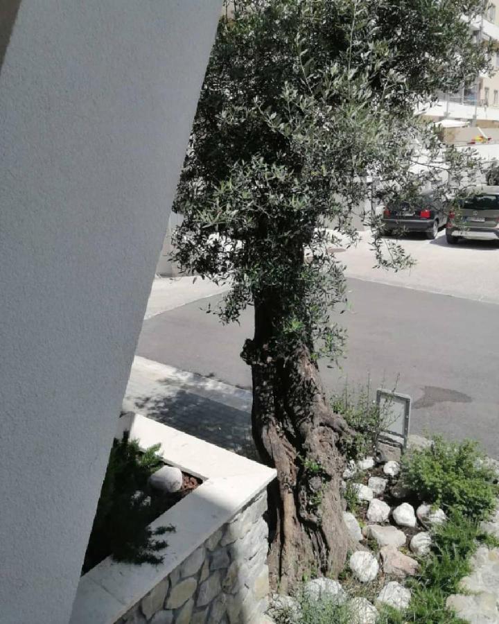 דירות בודווה Mondi Azzurri מראה חיצוני תמונה